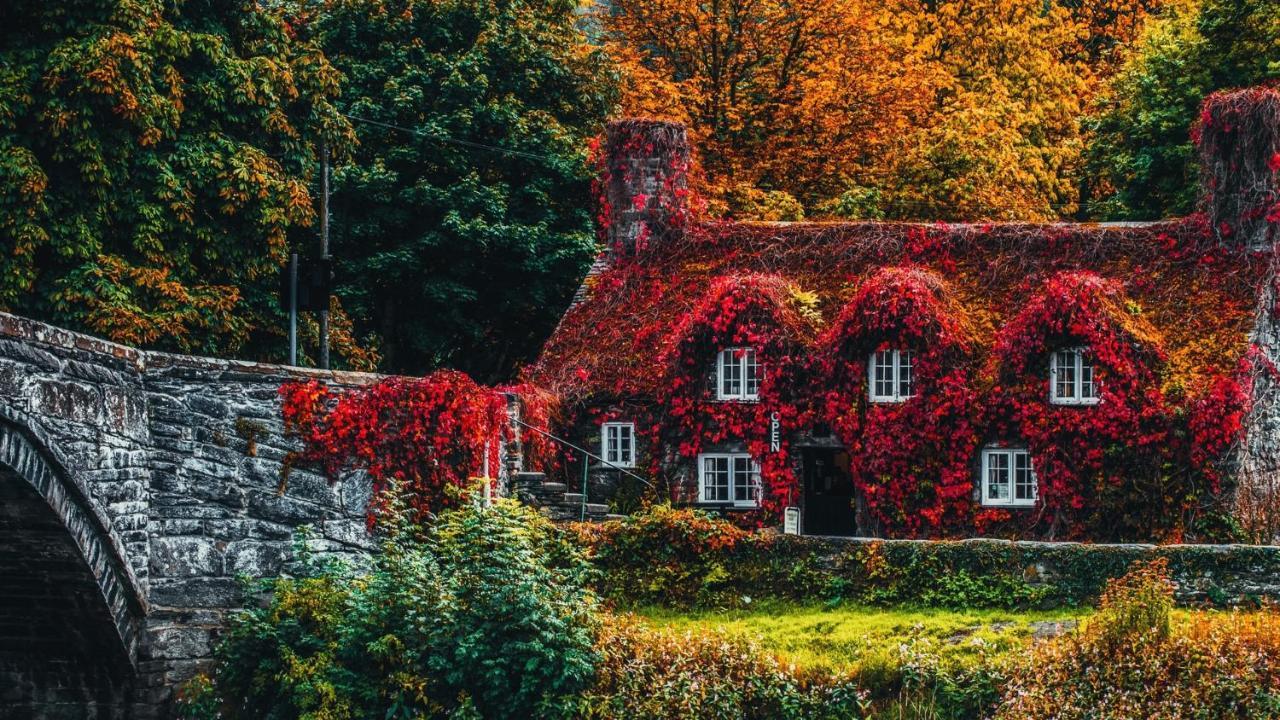 Sterling Bed & Breakfast Ландъндо Стая снимка